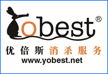 公司简介广告