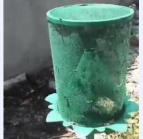 除虫视频
