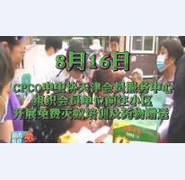 灭蚁活动天津电视台拜访