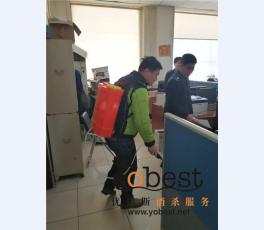 成功案例