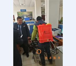 成功案例