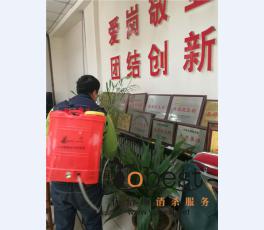 成功案例