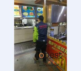 成功案例