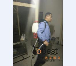 成功案例