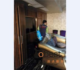 成功案例