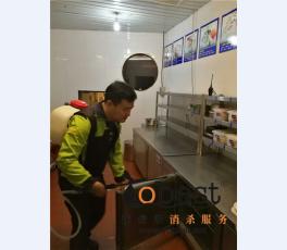 成功案例
