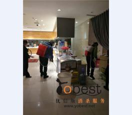 成功案例