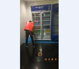 成功案例