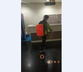 成功案例