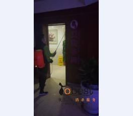 成功案例
