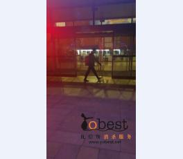 成功案例