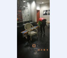 成功案例