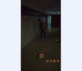 成功案例