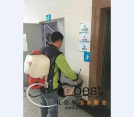 成功案例