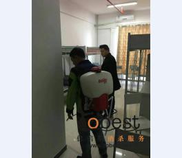 成功案例