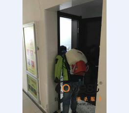 成功案例