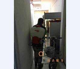 成功案例