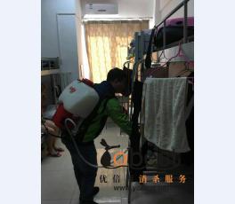 成功案例
