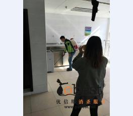成功案例
