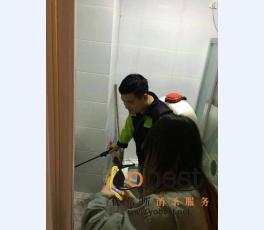 成功案例