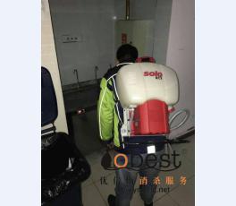 成功案例