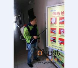 成功案例