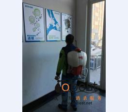 成功案例