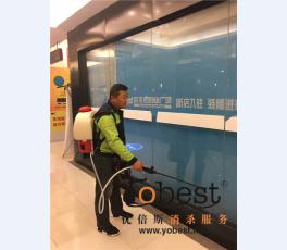 成功案例