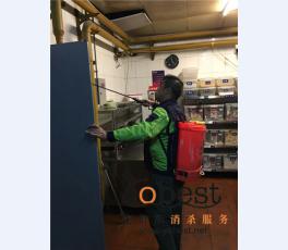 成功案例