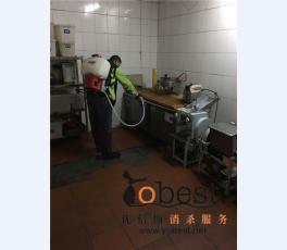 成功案例