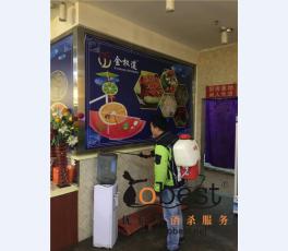 成功案例