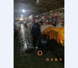 成功案例