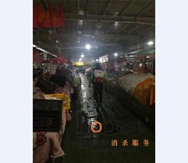 成功案例