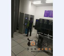 成功案例