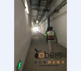 成功案例