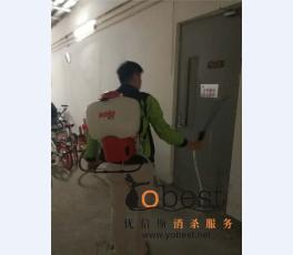 成功案例