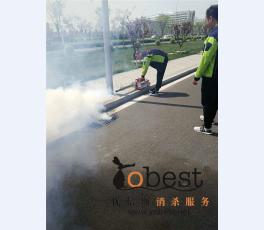 成功案例