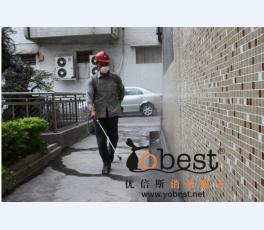 成功案例