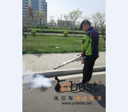 成功案例