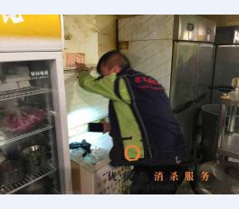 成功案例