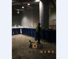 成功案例