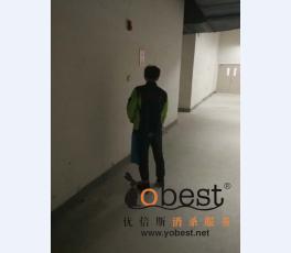 成功案例