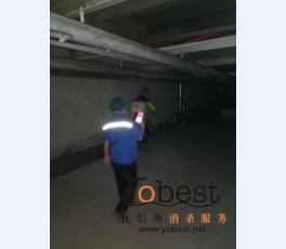 成功案例