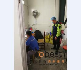成功案例