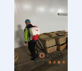 成功案例