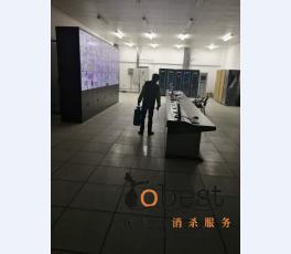 成功案例