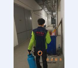 成功案例