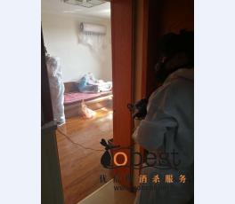 成功案例