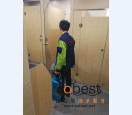 成功案例