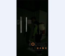 成功案例